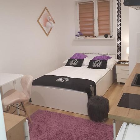 Apartamenty Centrum Panoramiczna Mala Dwojka Swan Labedz Promenada Klimatyzacja Lodowa Kielce Exteriör bild