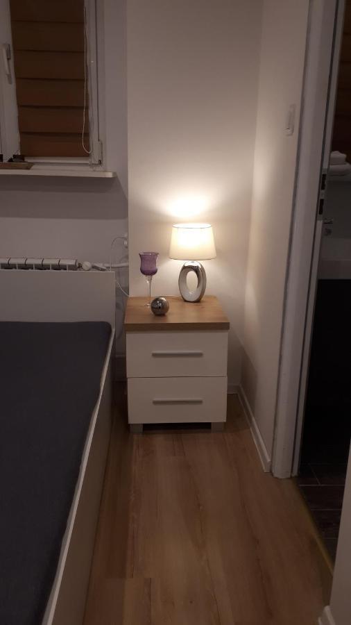 Apartamenty Centrum Panoramiczna Mala Dwojka Swan Labedz Promenada Klimatyzacja Lodowa Kielce Exteriör bild