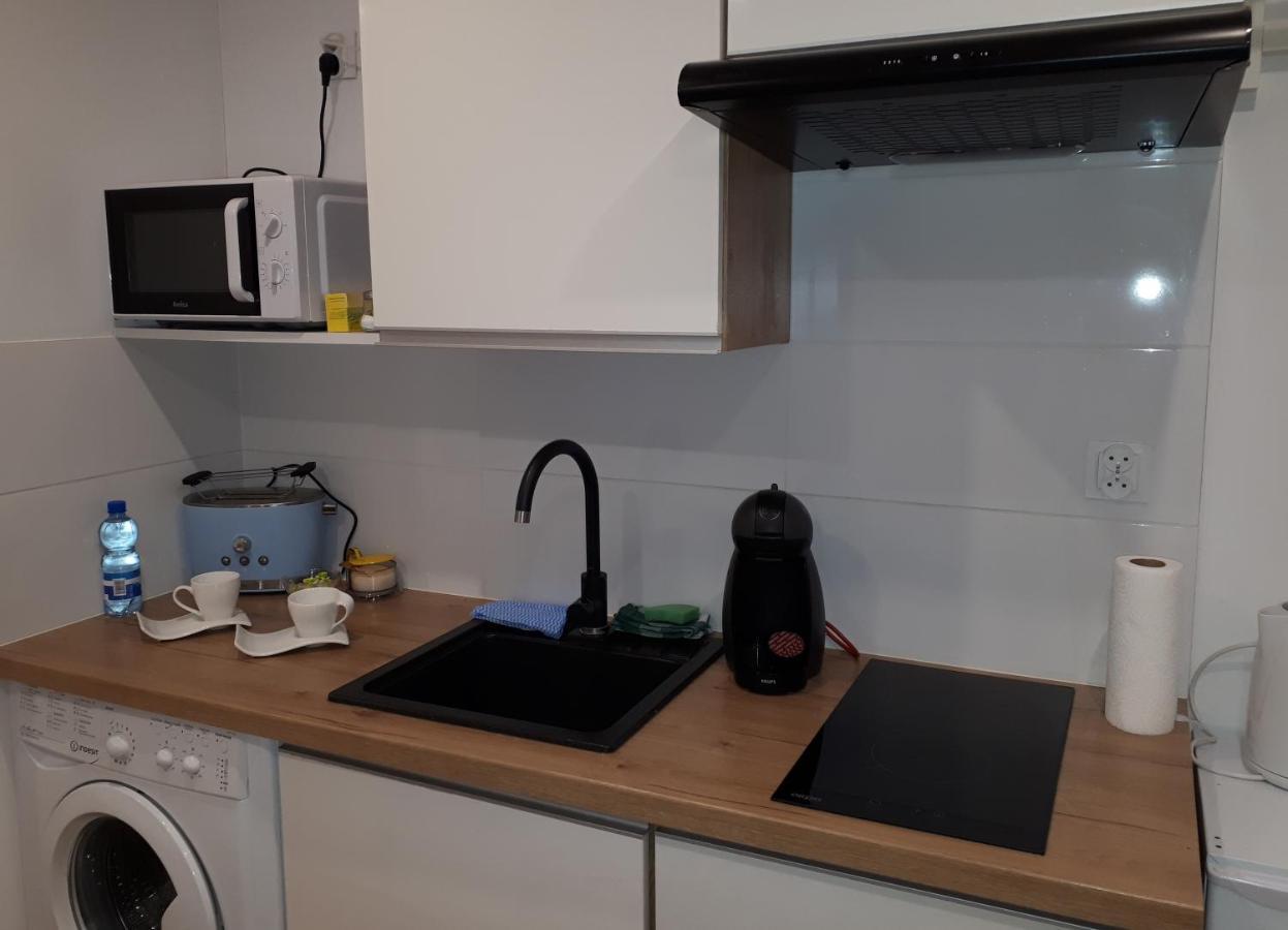 Apartamenty Centrum Panoramiczna Mala Dwojka Swan Labedz Promenada Klimatyzacja Lodowa Kielce Exteriör bild
