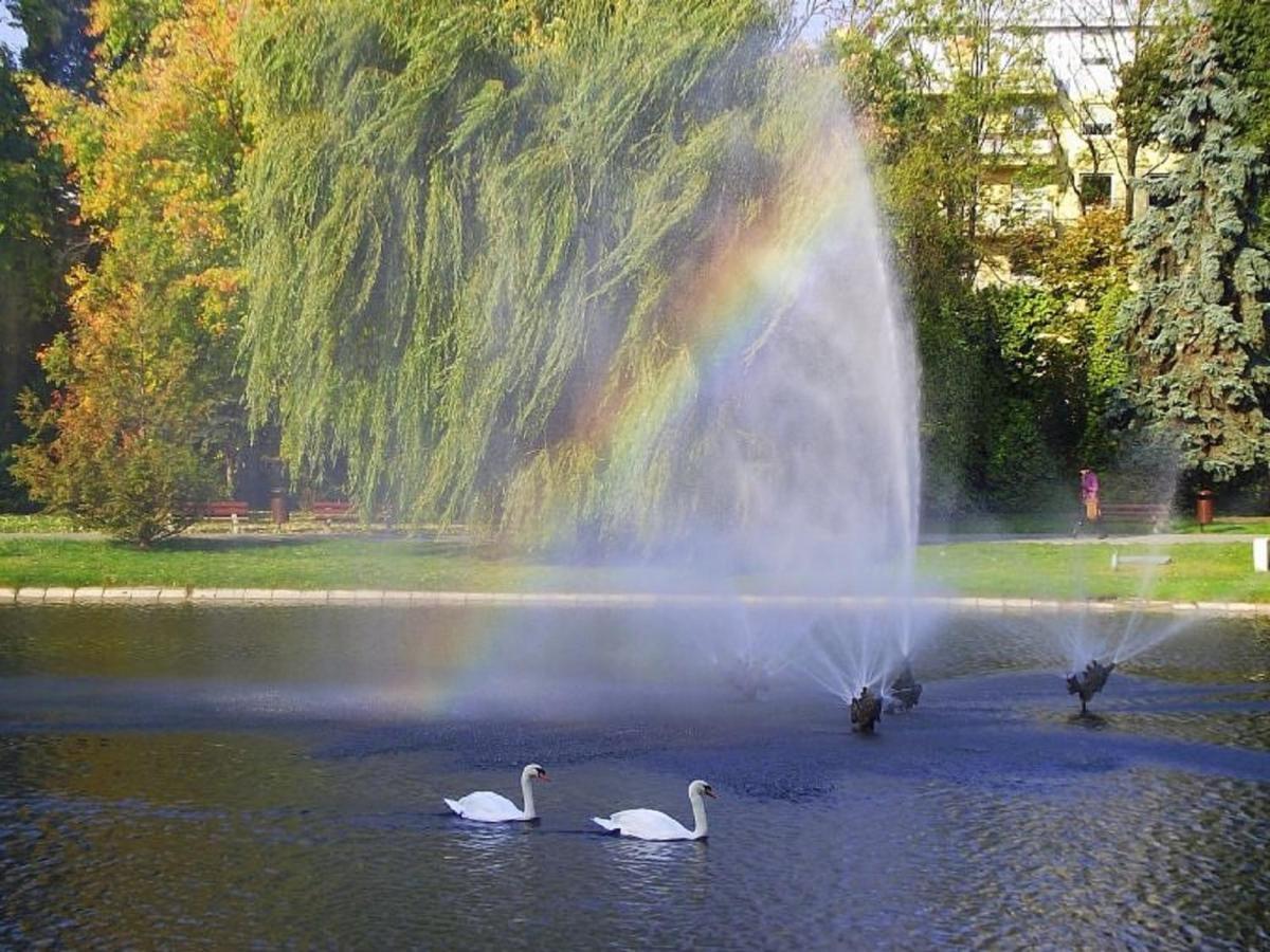 Apartamenty Centrum Panoramiczna Mala Dwojka Swan Labedz Promenada Klimatyzacja Lodowa Kielce Exteriör bild