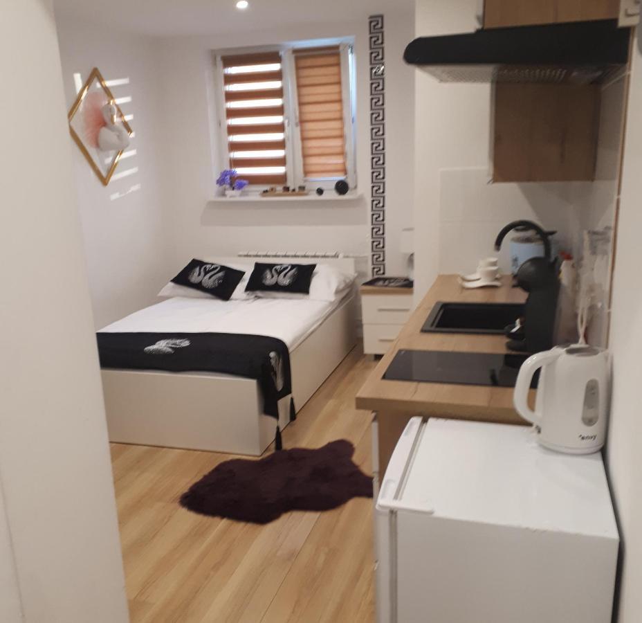 Apartamenty Centrum Panoramiczna Mala Dwojka Swan Labedz Promenada Klimatyzacja Lodowa Kielce Exteriör bild