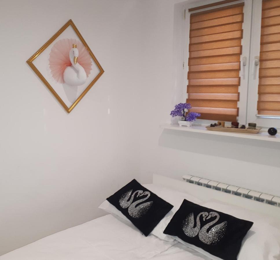 Apartamenty Centrum Panoramiczna Mala Dwojka Swan Labedz Promenada Klimatyzacja Lodowa Kielce Exteriör bild