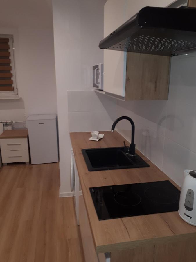 Apartamenty Centrum Panoramiczna Mala Dwojka Swan Labedz Promenada Klimatyzacja Lodowa Kielce Exteriör bild